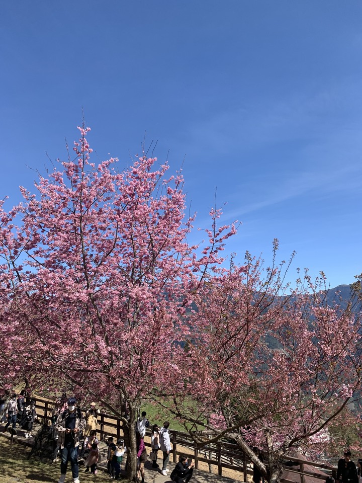 228連假清淨半日遊