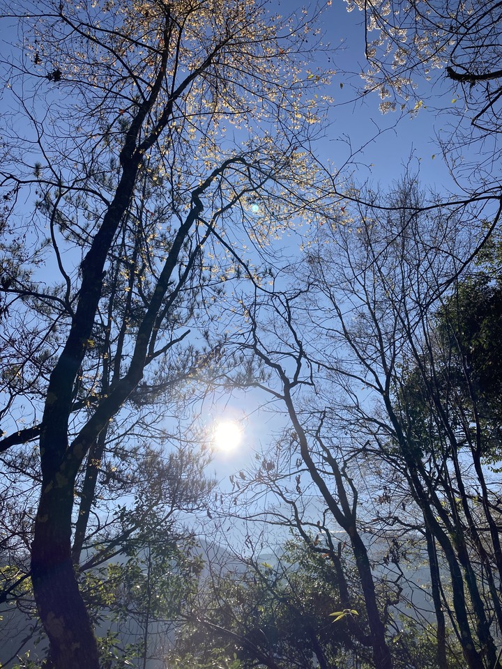 兩天一夜大劍山天梯在現場看真的會有驚嚇感
