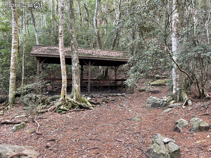 谷關七雄完登紀錄｜挑戰百岳前的最佳訓練場！