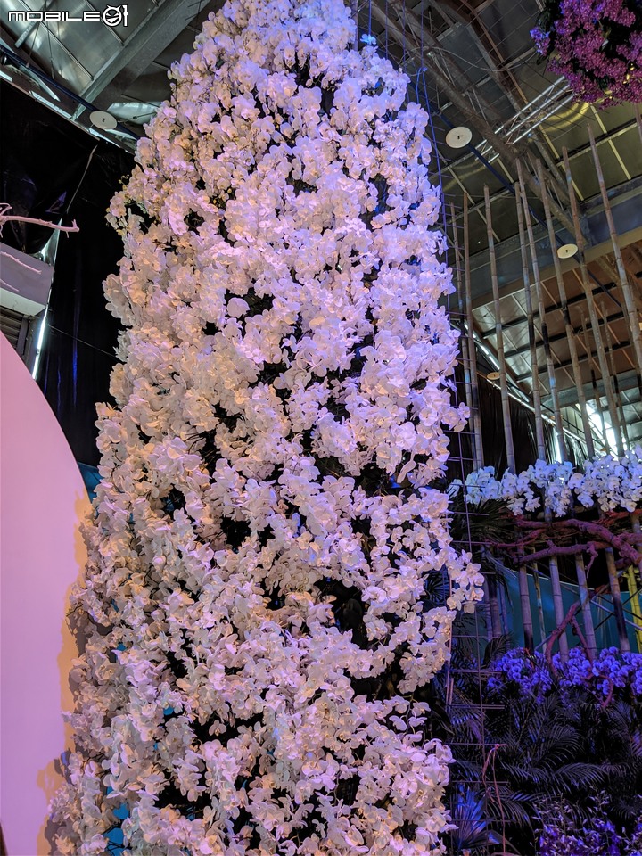 蘭花展 台南市後壁區蘭花生物科技園區 03/26