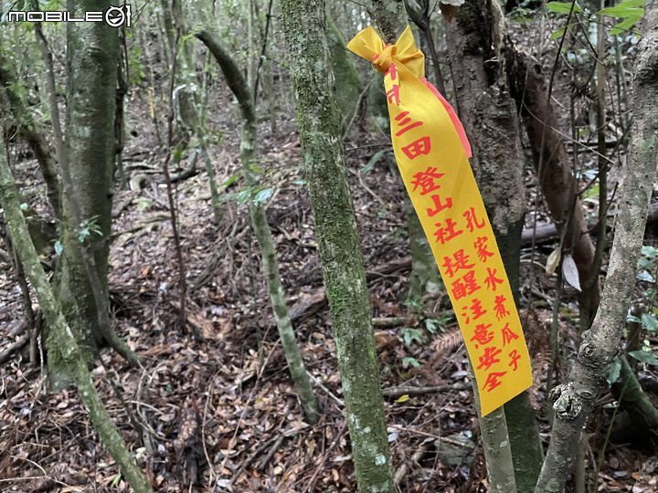 谷關七雄完登紀錄｜挑戰百岳前的最佳訓練場！