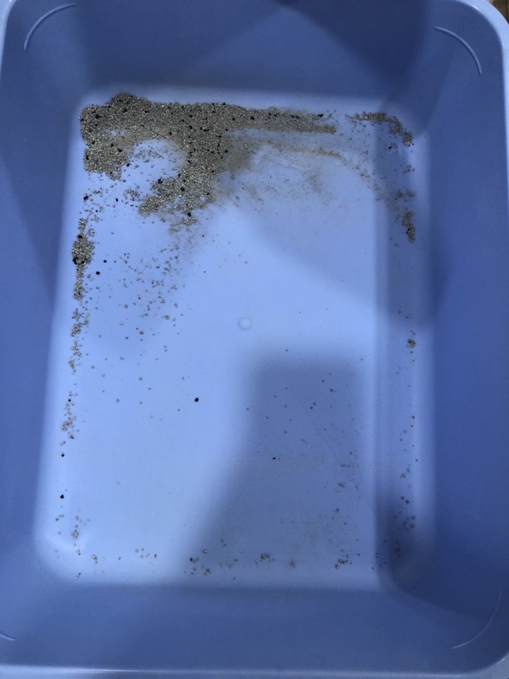 這幾年用的三款貓砂評比(毛怪花生殼砂、pidan豆腐砂、防禦工事礦砂)