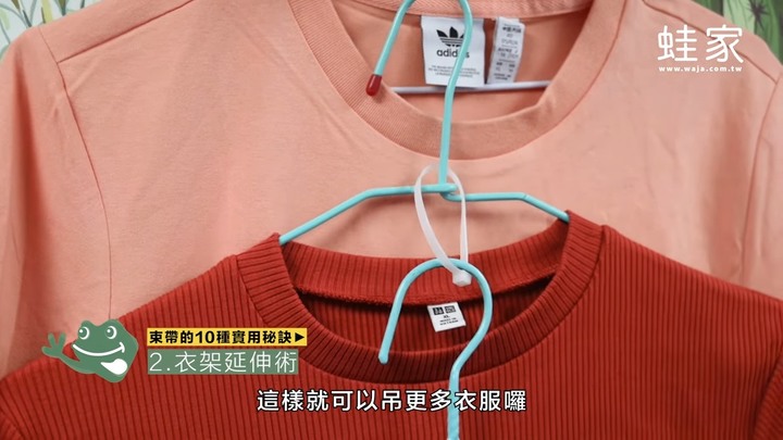 生活智慧王!10種束帶的實用秘訣,收納、保鮮、割草都好輕鬆