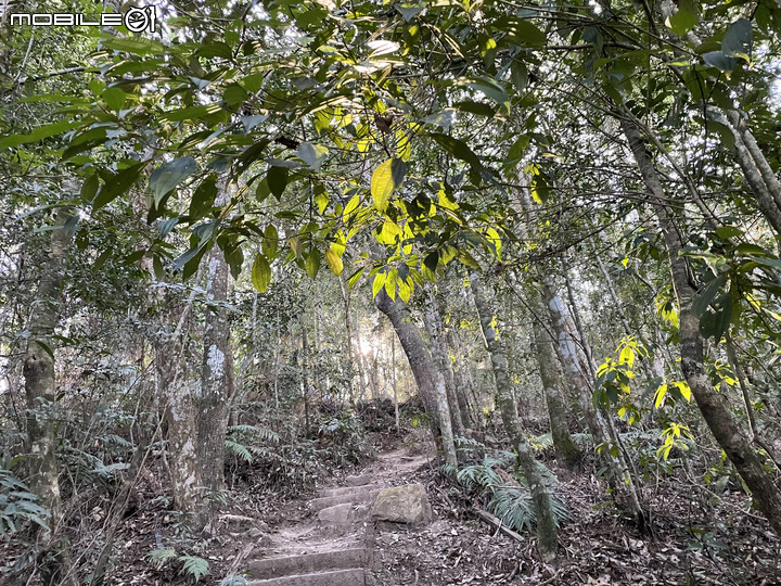 谷關七雄完登紀錄｜挑戰百岳前的最佳訓練場！