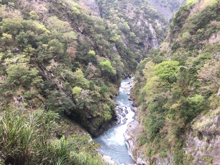 太魯閣健行步道之旅上集 (白楊、錐麓、山月)