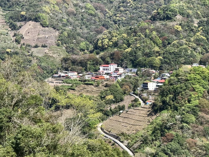 跨界 Cross 旅遊--翠巒、紅香、瑞岩、慈峰、翠峰、靜觀、合作、平靜、力行、華岡