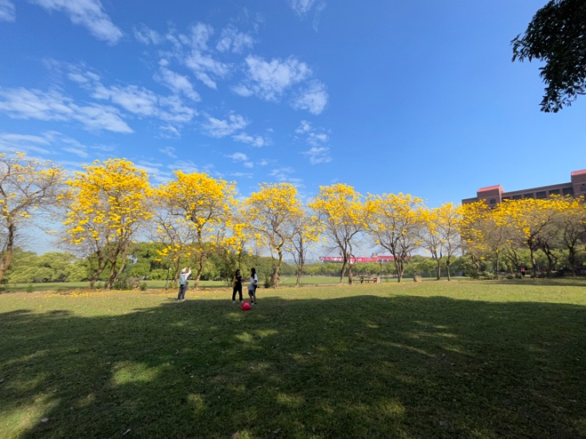 上山下海120公里,嘉義2日遊(中正大學、故宮南院、白水湖壽島、麟趾山)