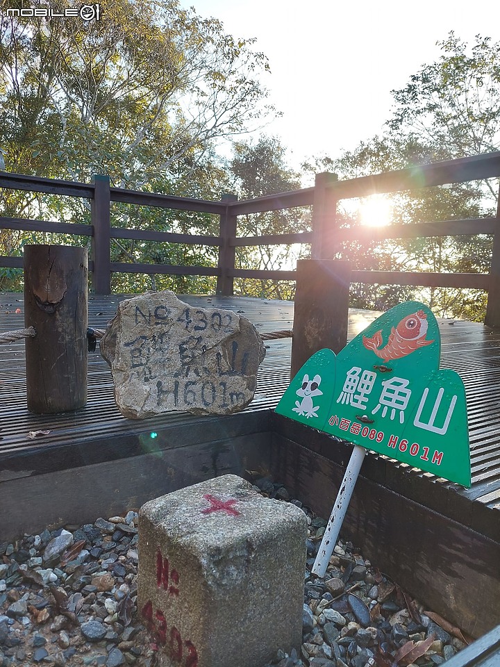 花蓮.鯉魚潭、鯉魚山步道健行記