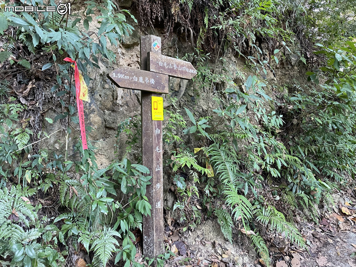 谷關七雄完登紀錄｜挑戰百岳前的最佳訓練場！