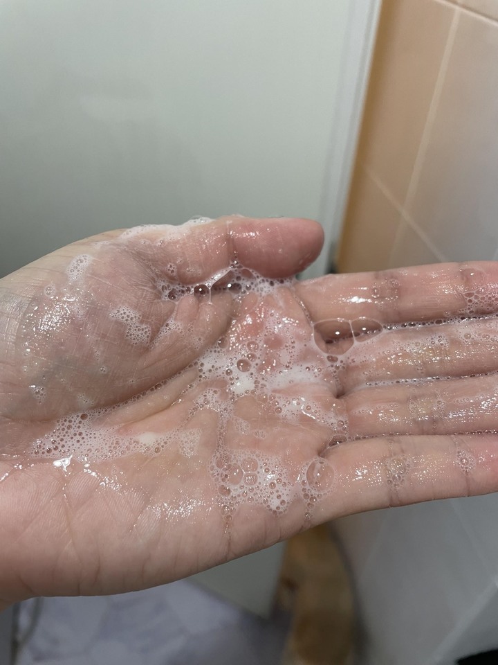 近期愛用的五款洗髮精評比