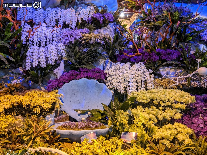 蘭花展 台南市後壁區蘭花生物科技園區 03/26