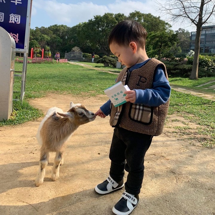爸媽放空，小孩放風！北部必去的親子農場一日遊情報！