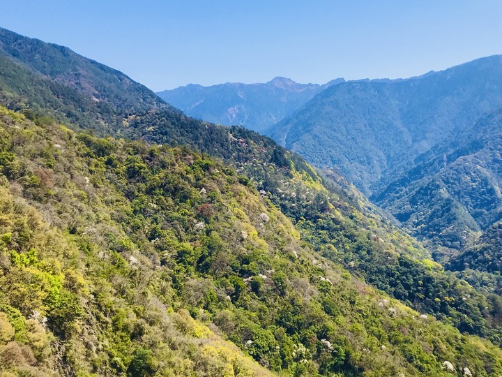 跨界 Cross 旅遊--翠巒、紅香、瑞岩、慈峰、翠峰、靜觀、合作、平靜、力行、華岡