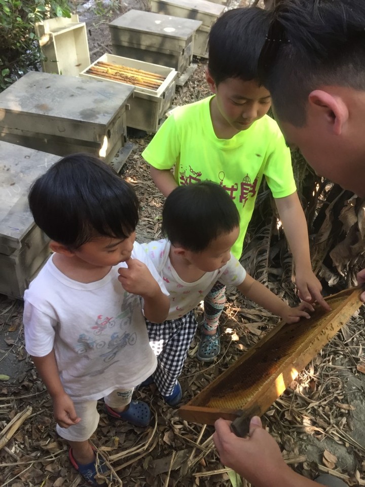光復新村|台中老眷村灌入文創色彩,吃喝玩樂帶你一次遊歷!