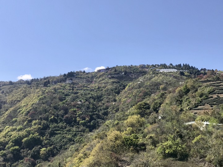 跨界 Cross 旅遊--翠巒、紅香、瑞岩、慈峰、翠峰、靜觀、合作、平靜、力行、華岡
