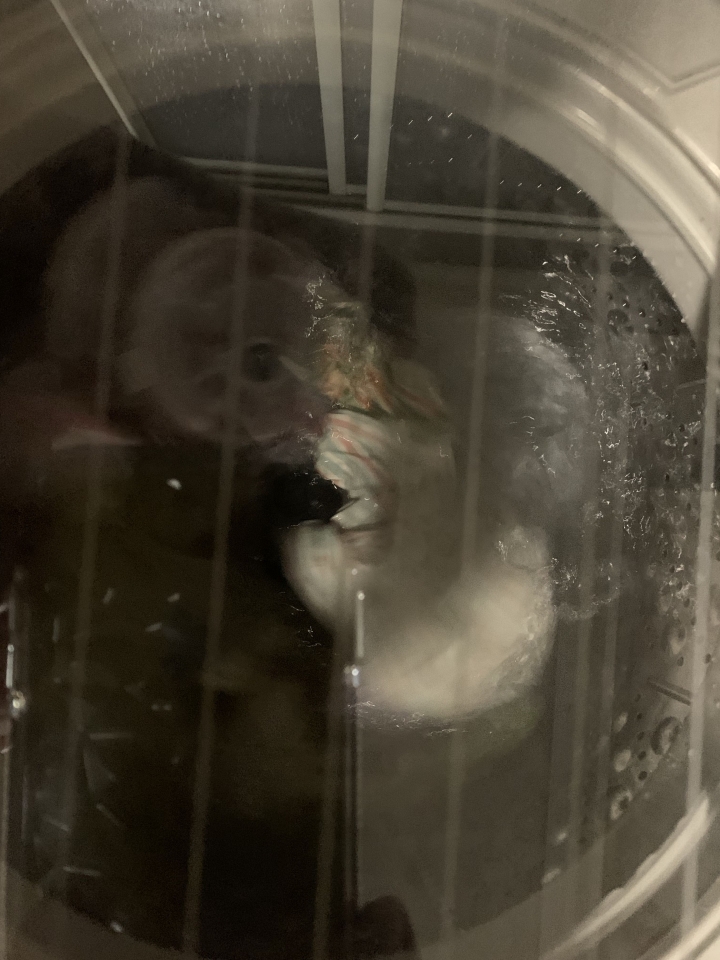 LG 洗衣機 故障碼液晶顯示LE排除