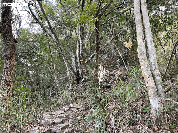 谷關七雄完登紀錄｜挑戰百岳前的最佳訓練場！