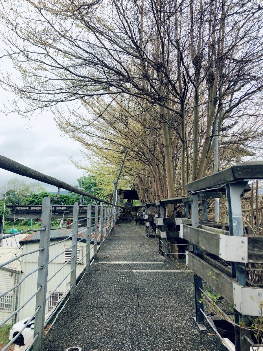 【時光機4年前的親子遊記】宜蘭|慶和橋、悦川酒店、親水公園,陰雨綿綿還是要放電!