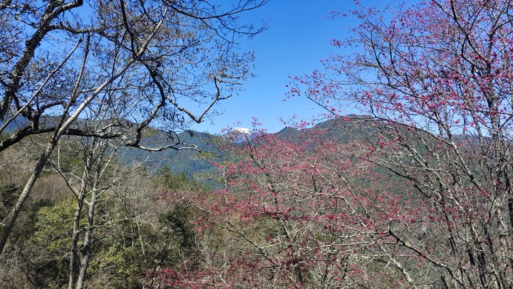 兩天一夜大劍山天梯在現場看真的會有驚嚇感