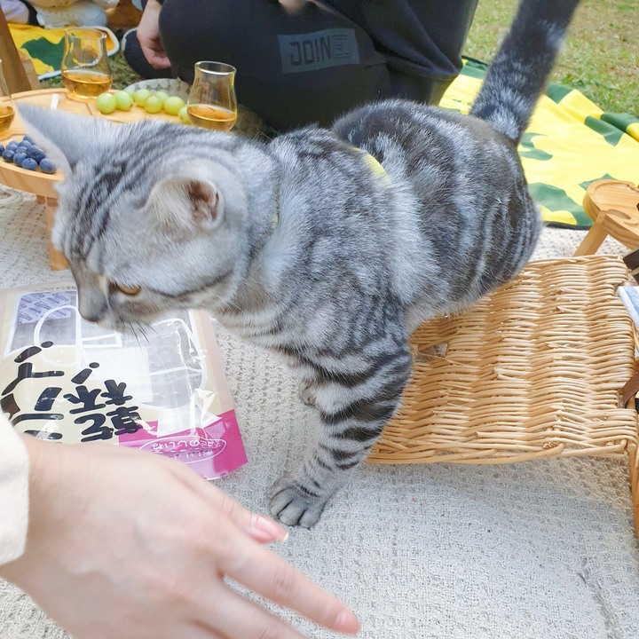 露營搖椅小餐桌分享 – 汀士頓贈品