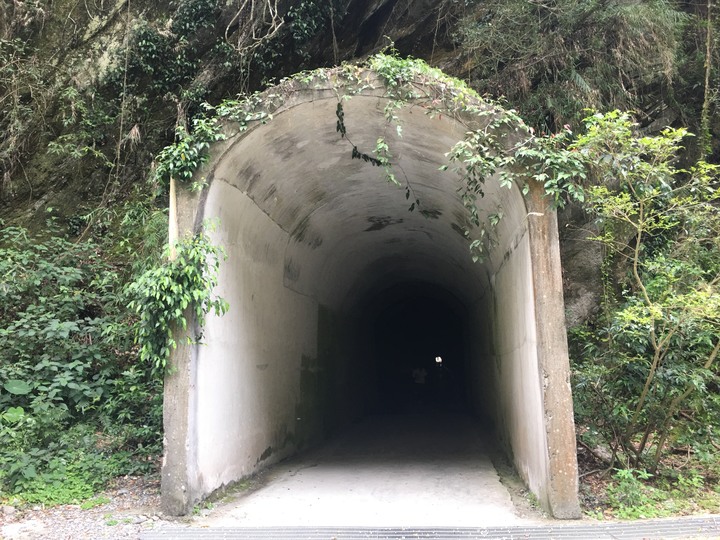 太魯閣健行步道之旅上集 (白楊、錐麓、山月)