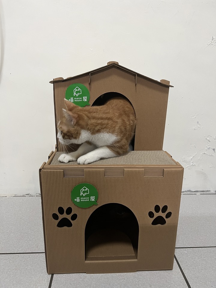 #開箱 貓抓板喵屋開箱