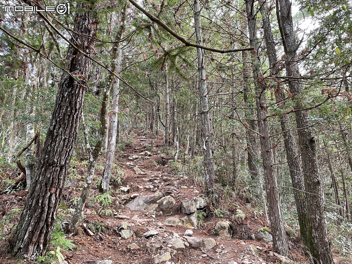 谷關七雄完登紀錄｜挑戰百岳前的最佳訓練場！