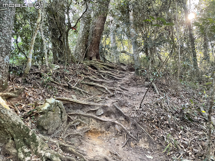 谷關七雄完登紀錄｜挑戰百岳前的最佳訓練場！