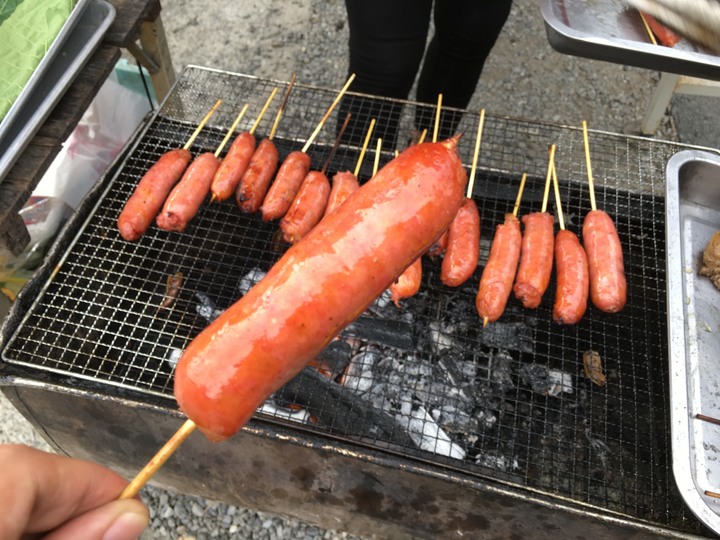 藍皮解憂號觀光列車(台東-枋寮)騎遊金崙