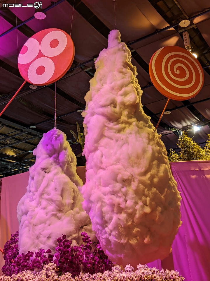 蘭花展 台南市後壁區蘭花生物科技園區 03/26
