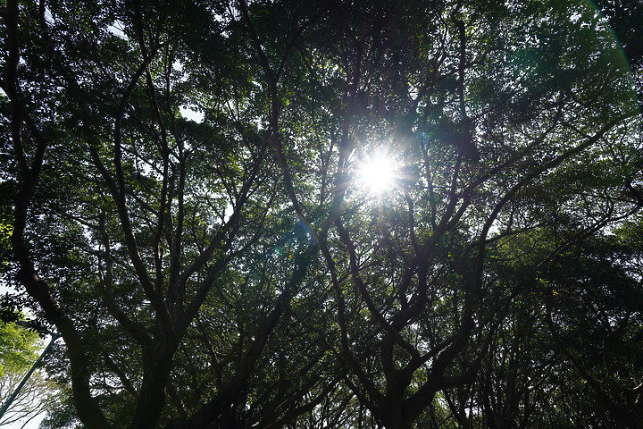 Sony FE PZ 16-35mm f/4 G 評測報告｜353g 輕量超廣角 電動變焦加持攝錄都行！