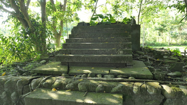 花東兩鐵單車無菜單旅行：吉野、豐田、林田神社遺址，關山、鹿野秘境，東富公路越嶺《台灣．用騎的最美》