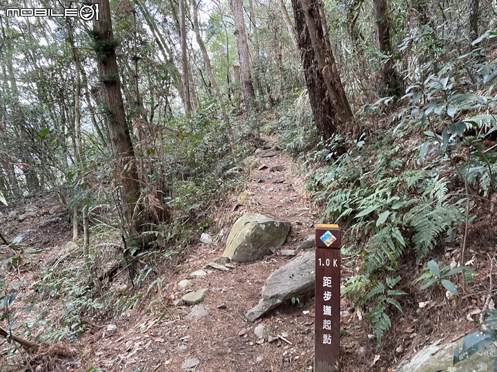 谷關七雄完登紀錄｜挑戰百岳前的最佳訓練場！