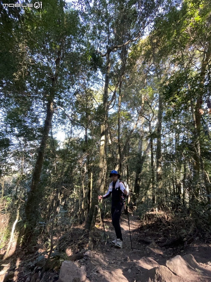 谷關七雄完登紀錄｜挑戰百岳前的最佳訓練場！