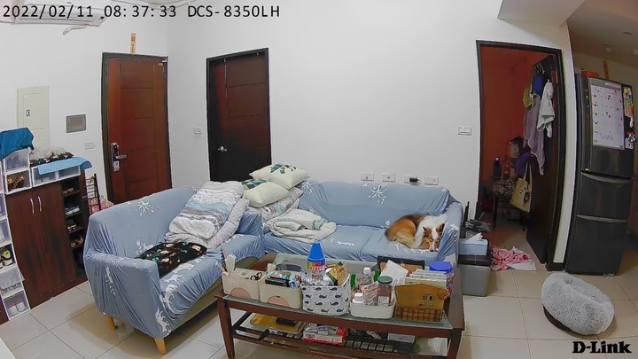 捕捉毛小孩超萌瞬間~ D-Link DCS-8350LH 2K QHD網路攝影機開箱