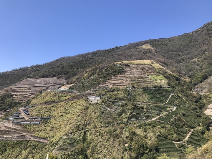 跨界 Cross 旅遊--翠巒、紅香、瑞岩、慈峰、翠峰、靜觀、合作、平靜、力行、華岡
