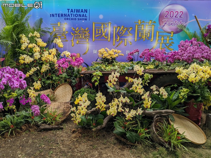 蘭花展 台南市後壁區蘭花生物科技園區 03/26