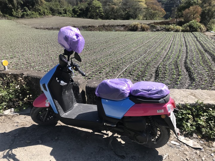 跨界 Cross 旅遊--翠巒、紅香、瑞岩、慈峰、翠峰、靜觀、合作、平靜、力行、華岡