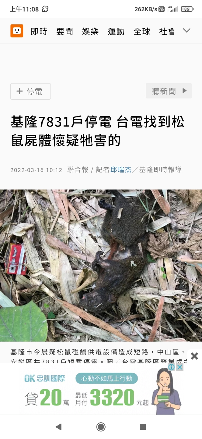 下一個造成停電的小動物會是什麼？