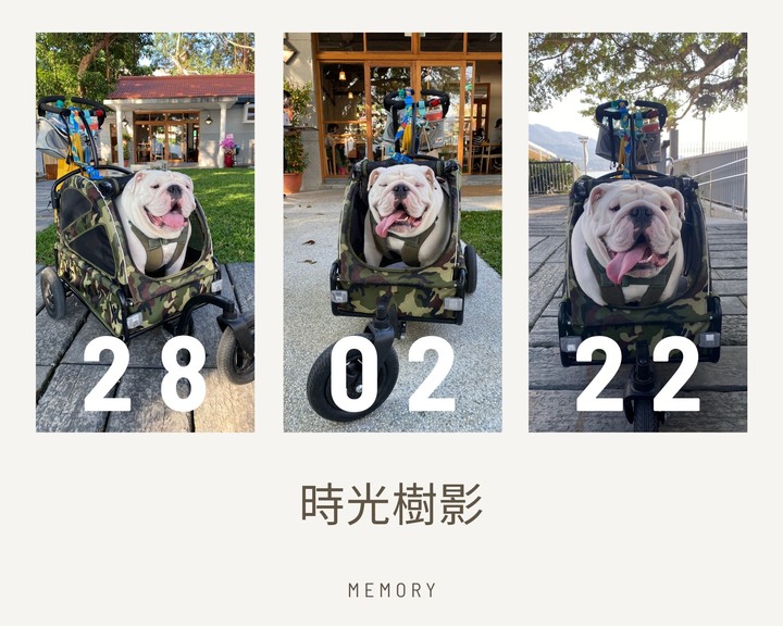 美食｜時光樹影＿樹影搖曳大啖美食賞建築之美，讓人彷彿置身往日歷史好時光