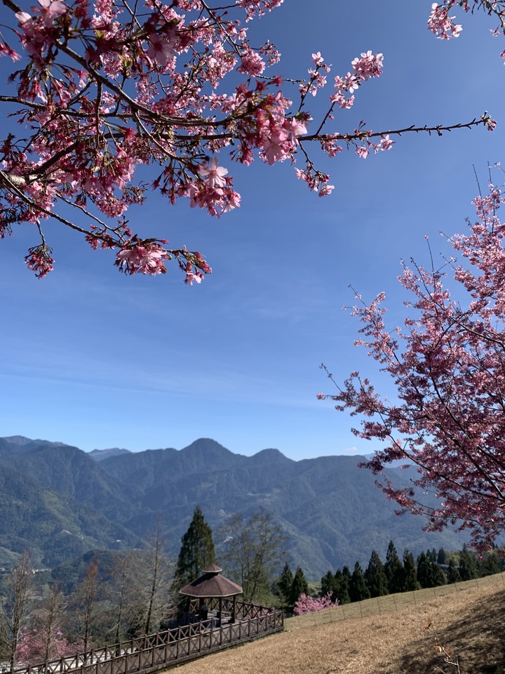 228連假清淨半日遊