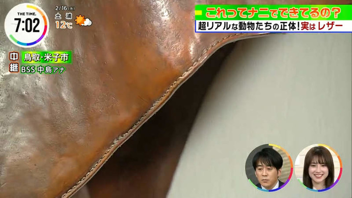 《世界唯一的皮革藝術家》動物模型栩栩如生 皮革美術館成了鳥取最新觀光景點