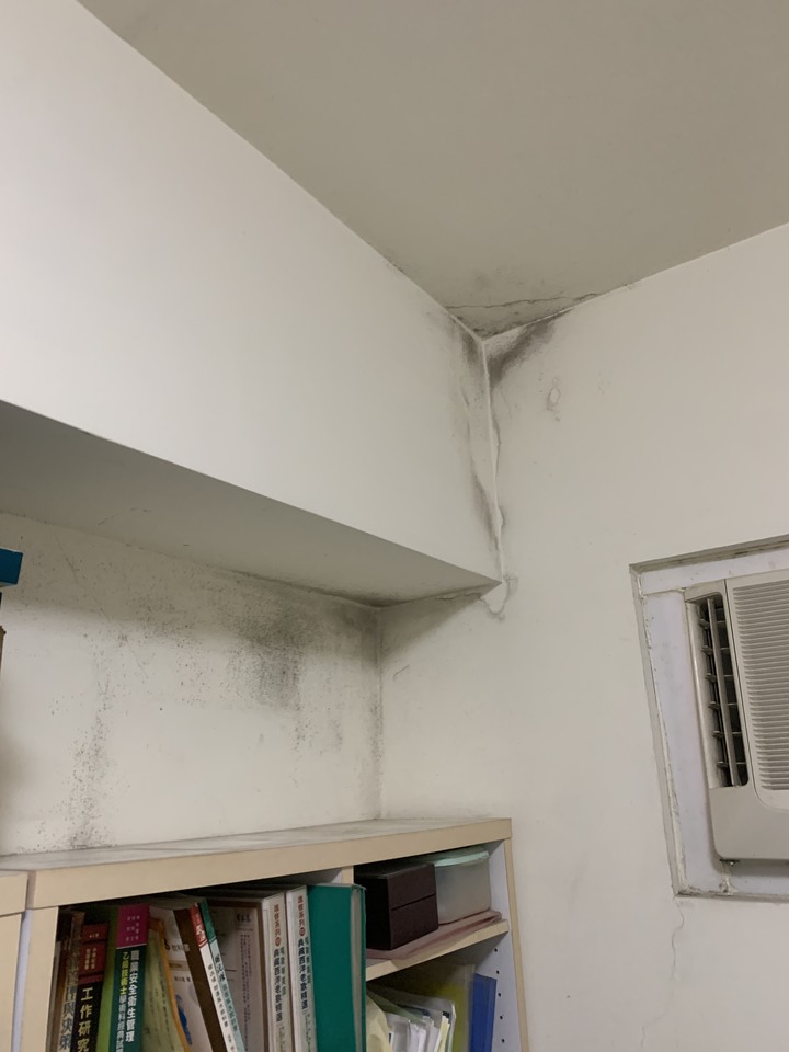 請問這是壁癌、漏水還是濕氣?