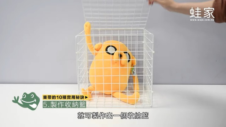 生活智慧王!10種束帶的實用秘訣,收納、保鮮、割草都好輕鬆