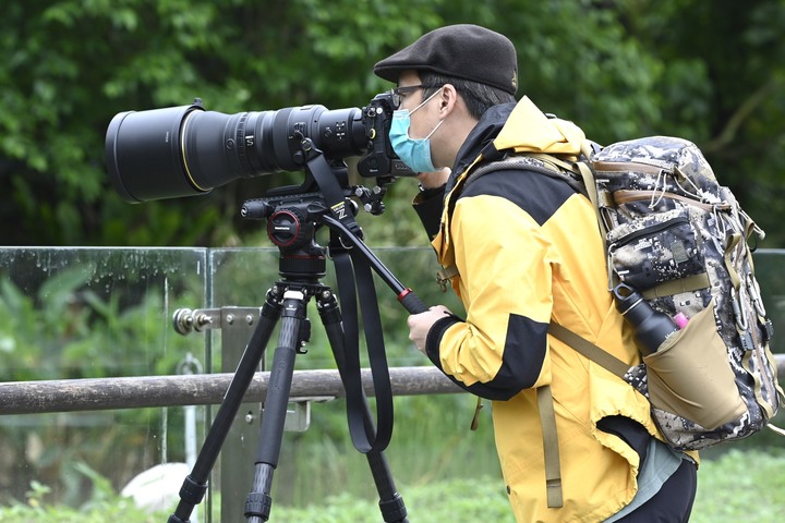 NIKON Z9 + NIKKOR Z 400MM F/2.8 TC VR S 一張「台積電」的滋味【WICKED RICKY一日體驗】