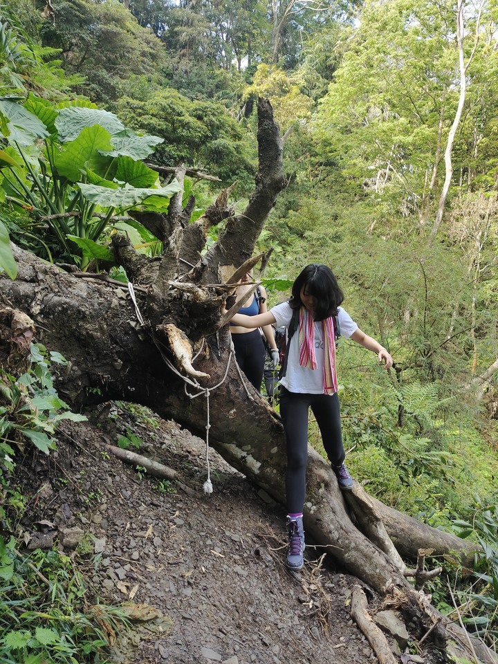 十九人的水雲三星之鳥嘴山(上島山)雲海白牆之旅