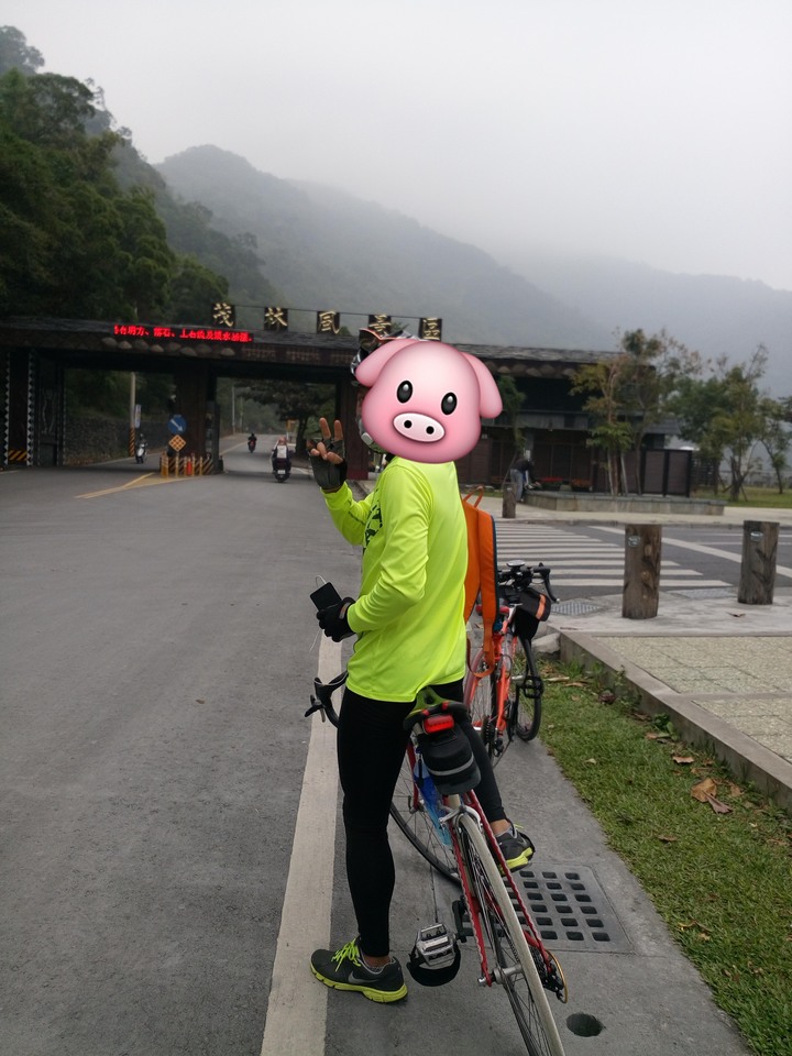 閒聊車褲樣式