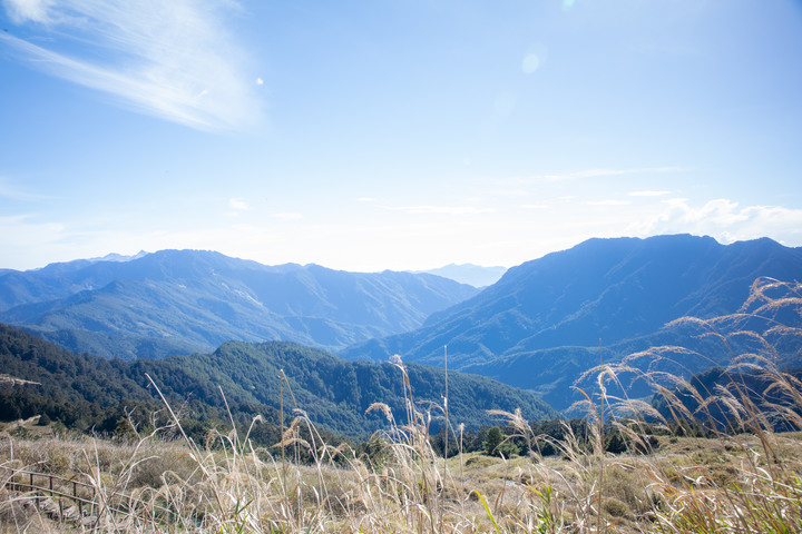 合歡東峰步道賞高山杜鵑 爬得好喘好累
