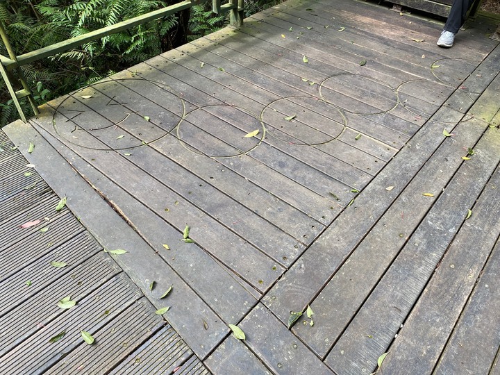 台北內湖｜大崙頭山．公車可以抵達的小百岳，登頂360度零死角好視野