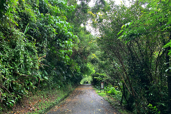 宜蘭頭城｜草嶺古道．大里入口｜180度蔚藍龜山島海景